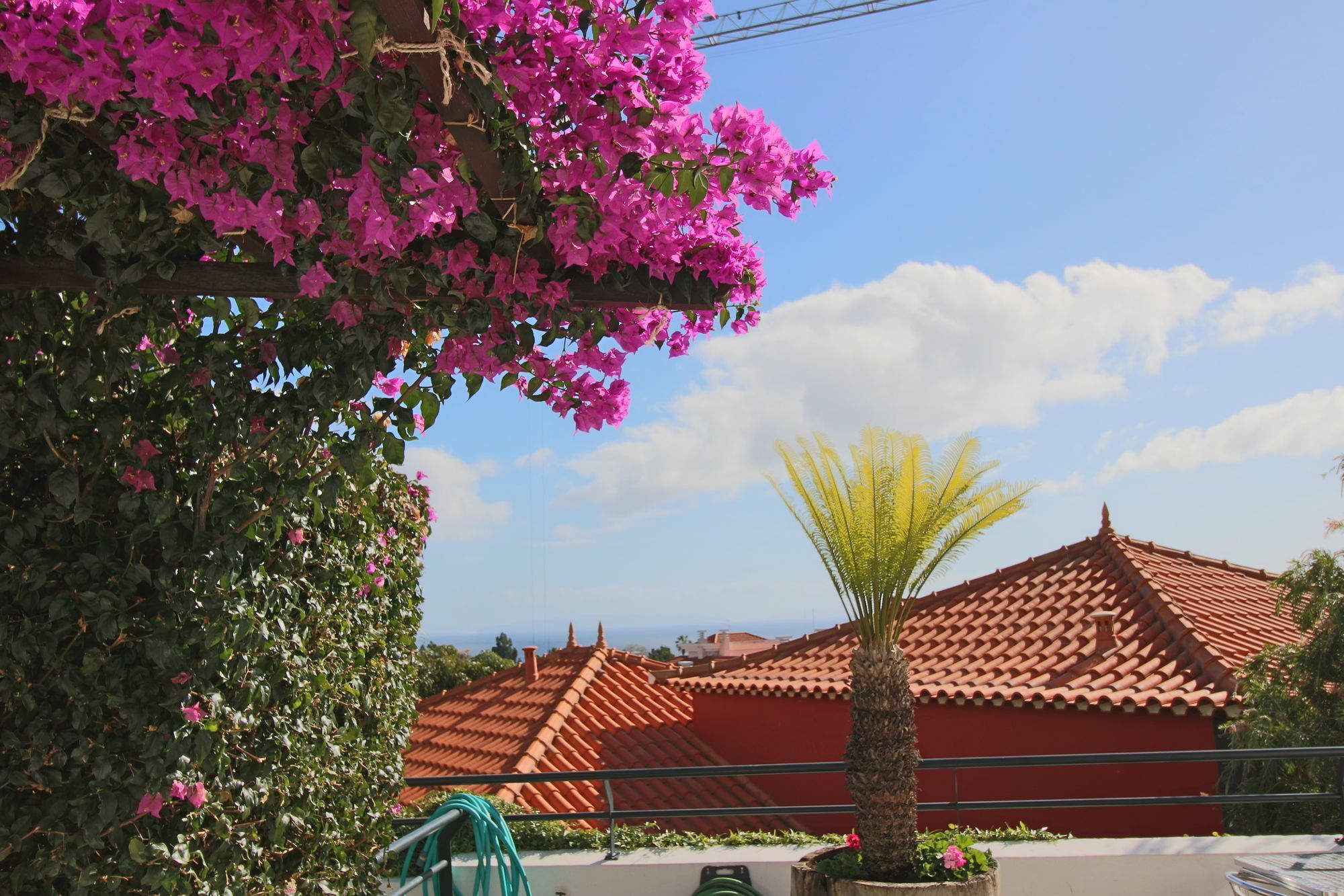 Guesthouse Vila Lusitania フンシャル エクステリア 写真
